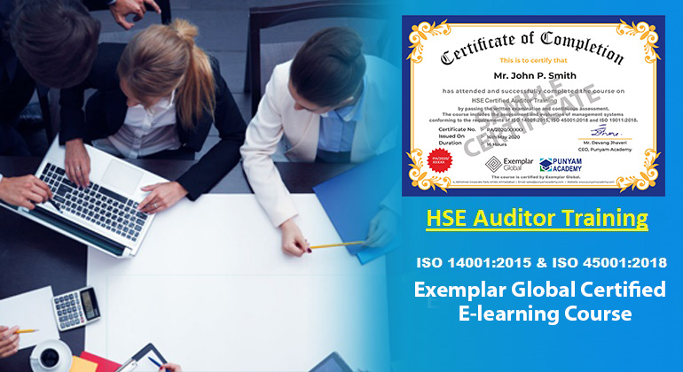 HSE audior training