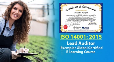ISO lead 14001 auditor training