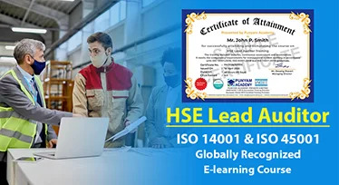 HSE lead audior training